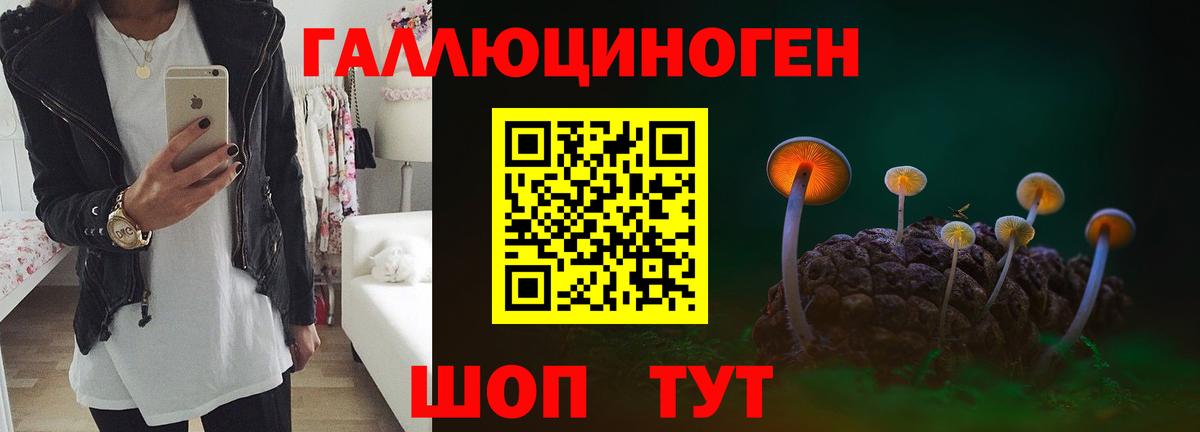Галлюциногенные грибы мухоморы  Вход с VPN  Новоалтайск 
